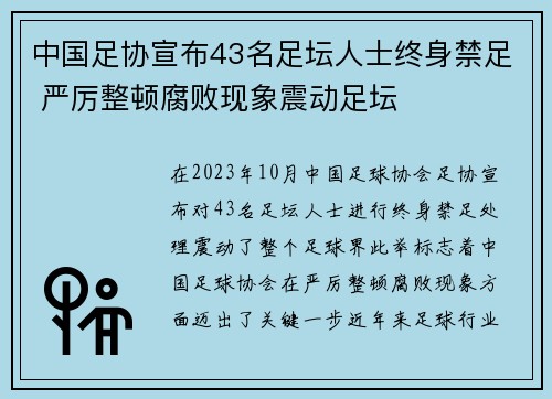 中国足协宣布43名足坛人士终身禁足 严厉整顿腐败现象震动足坛